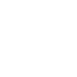 insight media